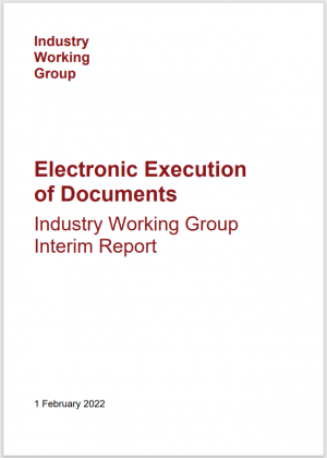 IWG Interim Report